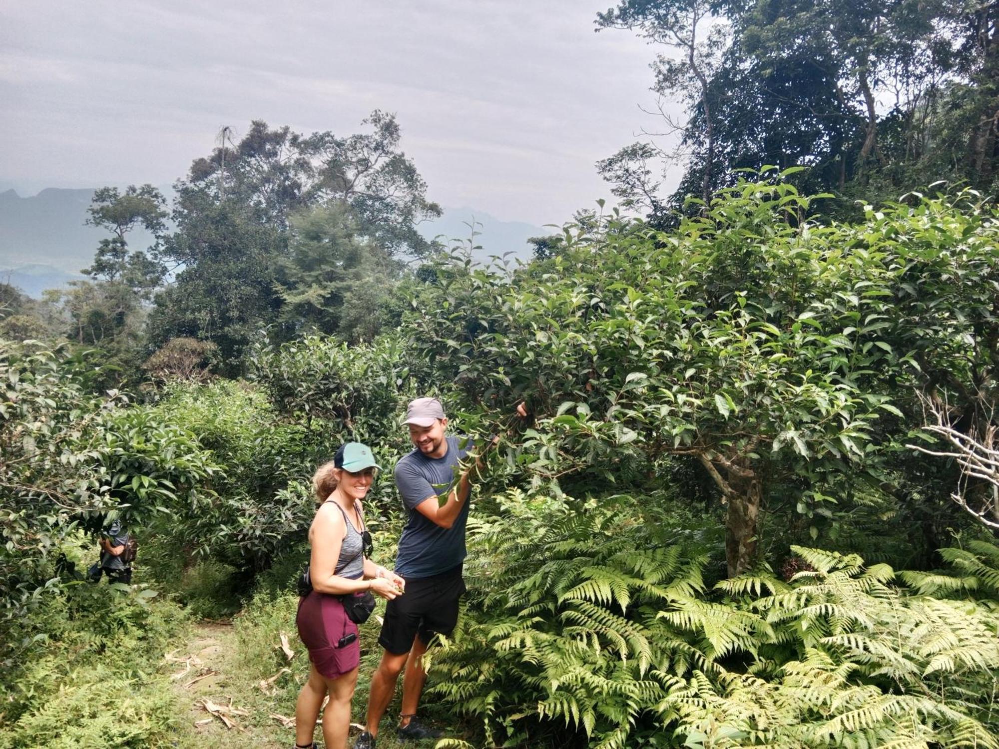 Ha Giang Yolo House And Loop Tours Hotel Bagian luar foto